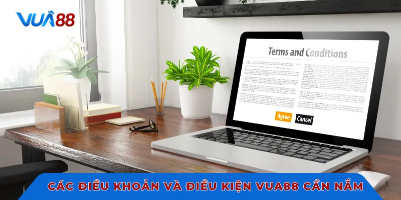 Các điều khoản và điều kiện VUA88 cần nắm