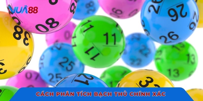 Cách phân tích bạch thủ chính xác