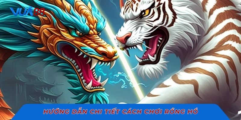 Hướng dẫn chi tiết cách chơi rồng hổ