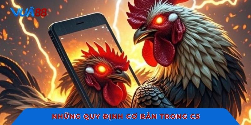 Những quy định cơ bản trong C5