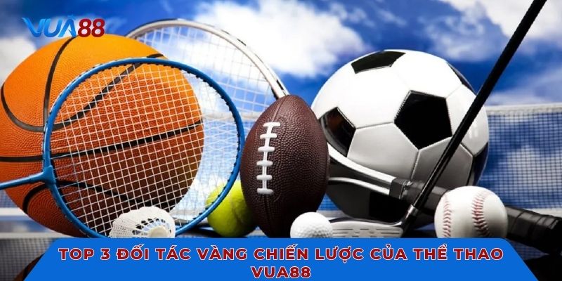 Top 3 đối tác vàng chiến lược của thể thao Vua88